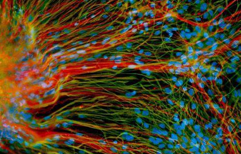 1532049066936680z6VC.png 圖片82.png