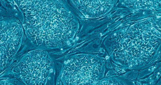 1532049071999530bW9w.png 圖片83.png