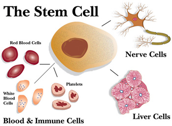 1532049843392723Ms7Y.png 圖片110.png