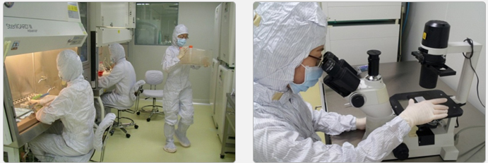 1532050552265461Q6a0.png 圖片150.png