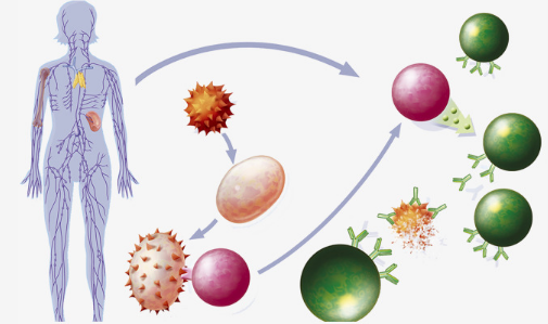 1532051344922395DGPw.png 圖片174.png