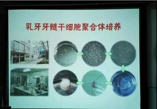 1536288707704623bfMG.jpg 555.jpg