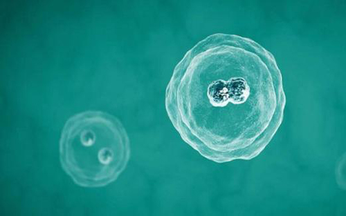 1550452907349541uyCz.jpg 20190214171950_23068.jpg